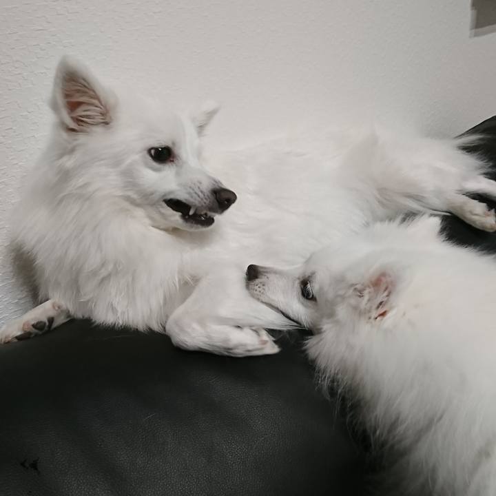 C61e0d8a 95e4 479a 82a7 21a0a2889cf3 1552824012643