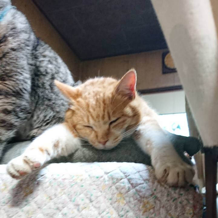 C61e138f ff13 4ac8 9b43 d92aaf8e9c64 1575709481077