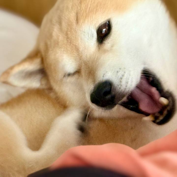 C61e147c f5ae 4506 ae4c 7c4676f16c8e 1763589601265