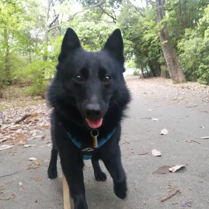 C61e274b 099c 429c 97f0 29635330bc9e 1651093721163