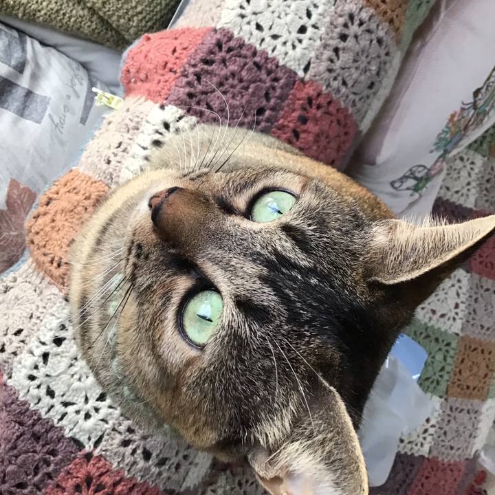 C61e4dd5 878b 43c0 bcd7 59828e8c3180 1641080862730