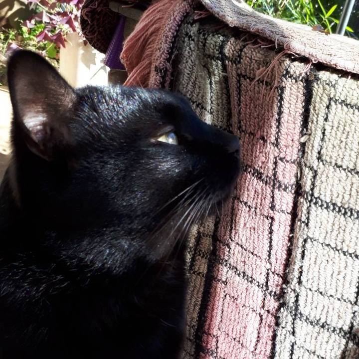 C61e6b2d 9415 46bd 8d57 b0271d6d2a0a 1636536625388