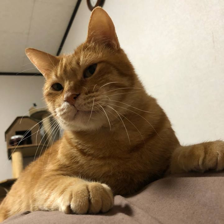 C61e8e23 dbe8 41cb 983a 06eb3e827996 1605012875418