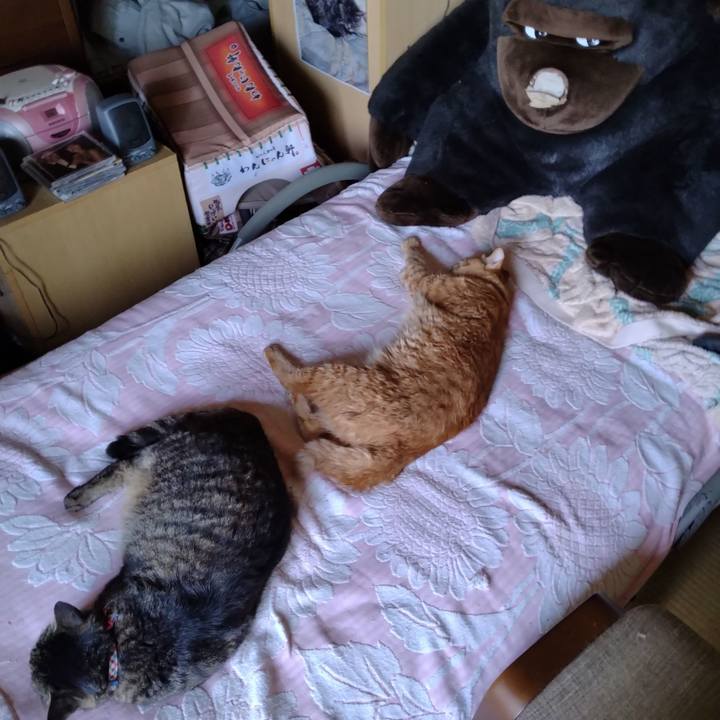 C61e924f 46e6 4893 bbda 18b2c1e6cd42 1689994925405