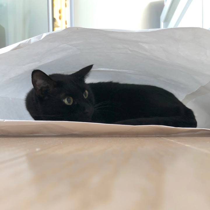 C61eab90 be2b 4955 a09f c8b4a6cb968d 1553050207882