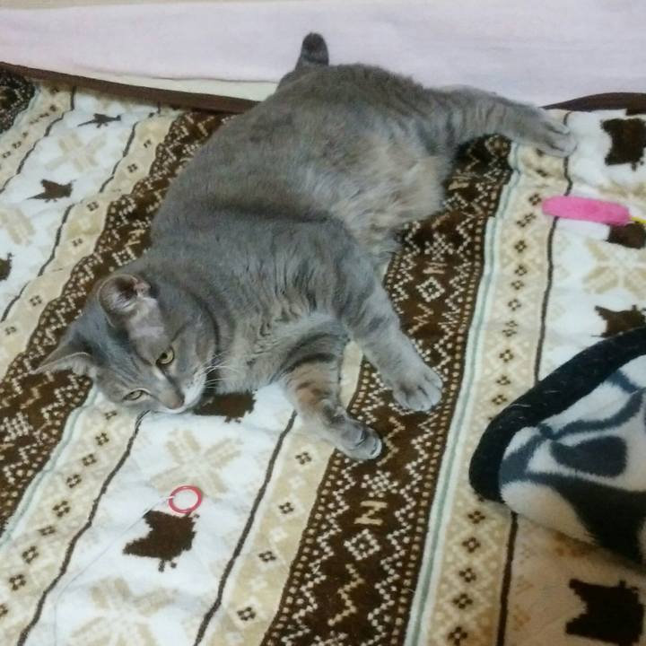 C61eace6 c262 4dc2 8ae0 4031a3ab92f7 1584542031151