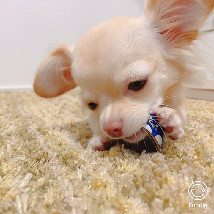 C61ebc63 d712 4577 95a2 5a00c98d086b 1602666352073