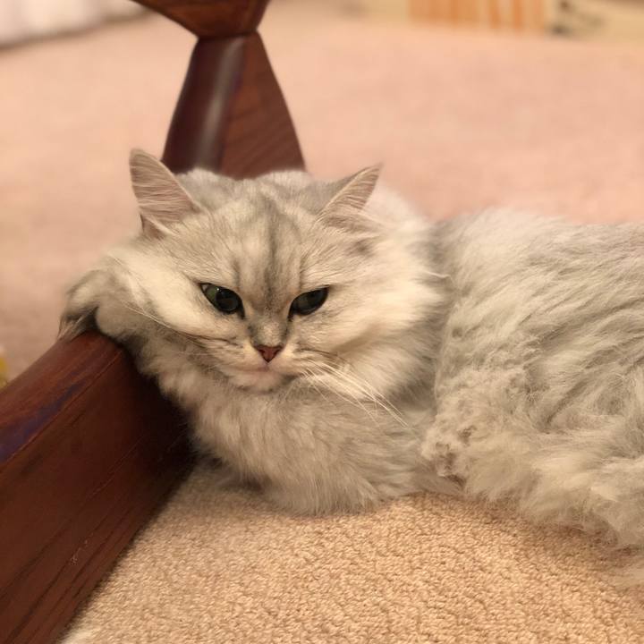 C61ec0ff 11ad 4580 9216 1969f5b1e297 1533991893281