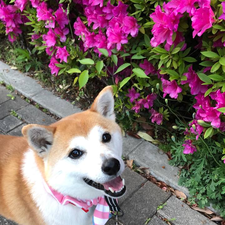 C61eeffa 352d 4d8a 902f 7789f251ea87 1556976564966