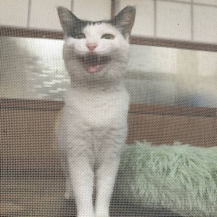 C61f0c2b db44 4244 bc73 0c97e4119839 1621372364105