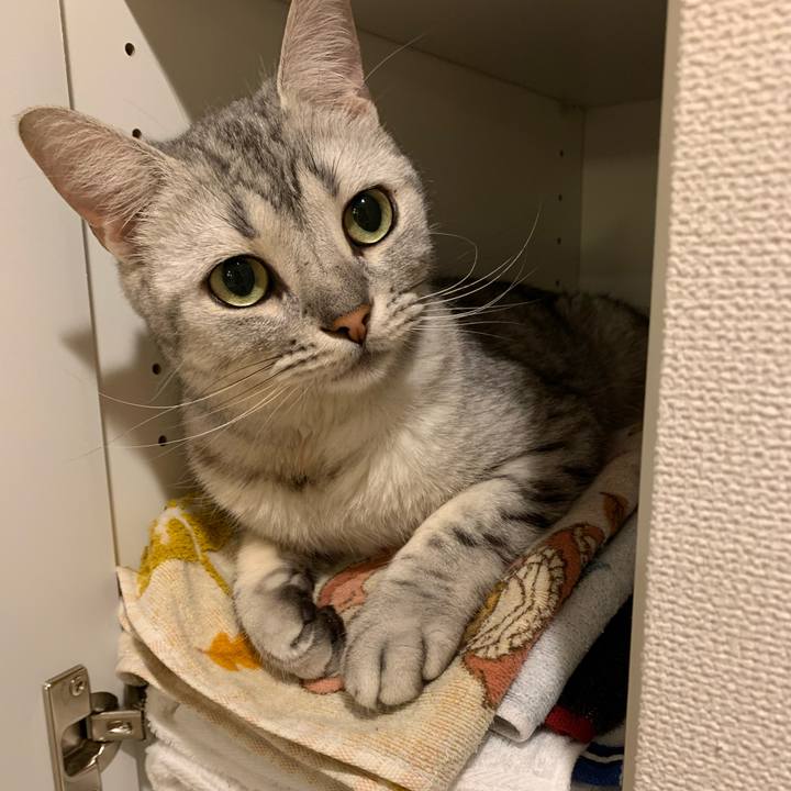 C61f6b6d 9fc2 428b 9b23 4415e1f150aa 1592715485240