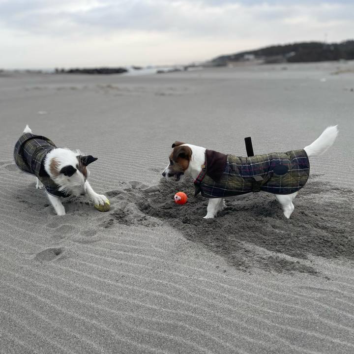 C61f7bc0 6c8e 4a2d 914e 75f5dcc26b8c 1771890358680