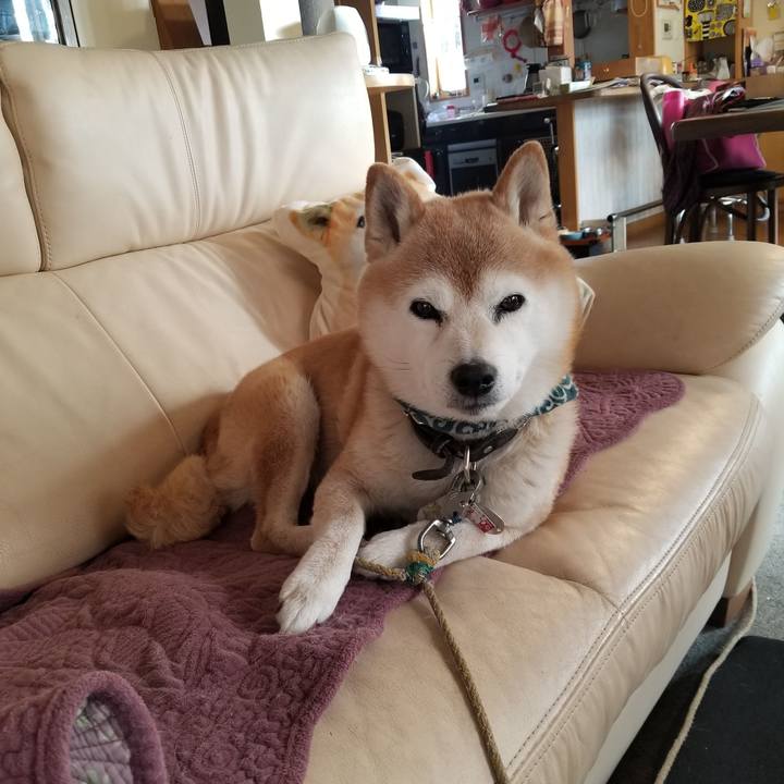 C61f91f1 5398 495b 82d6 594f2e2c80a2 1704504261244