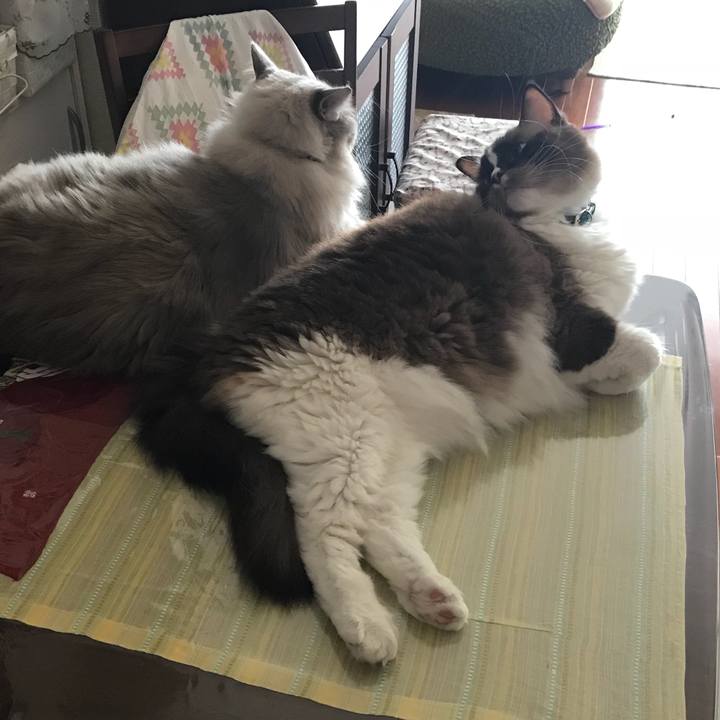 C61f93d5 ac1b 455c 975e 4d72f081b580 1508161398397