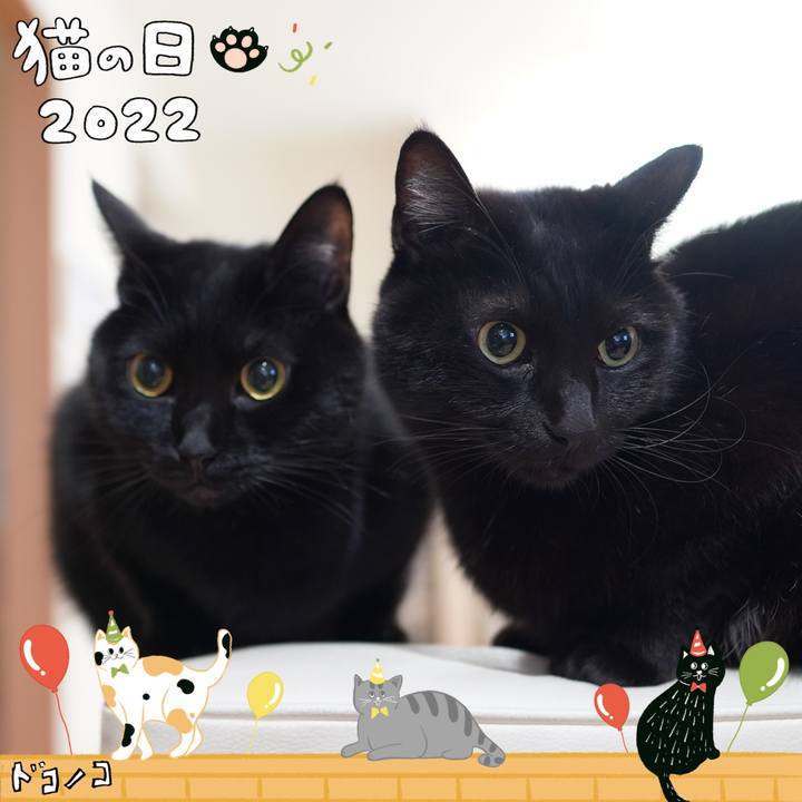 C61fb48f dbc9 4f9f 91a2 f389294d377d 1645537883996