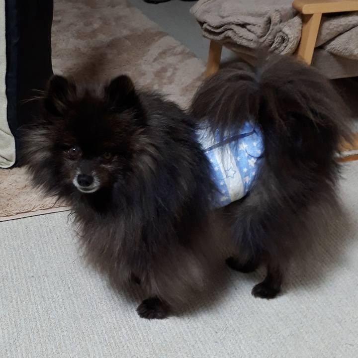 C61fe5d4 6cb4 4611 8c6b d88a4cb74f5b 1519334683731