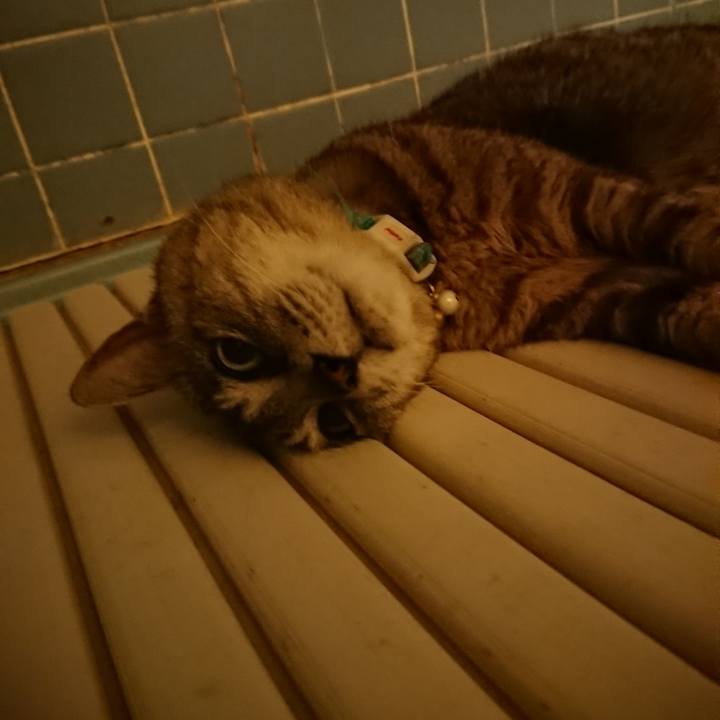 C620655a 0822 4643 8953 0520300fbff3 1564058011614