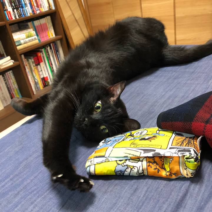 C6207b25 5ce3 4574 b6b7 3852d9a6a28c 1508422760027