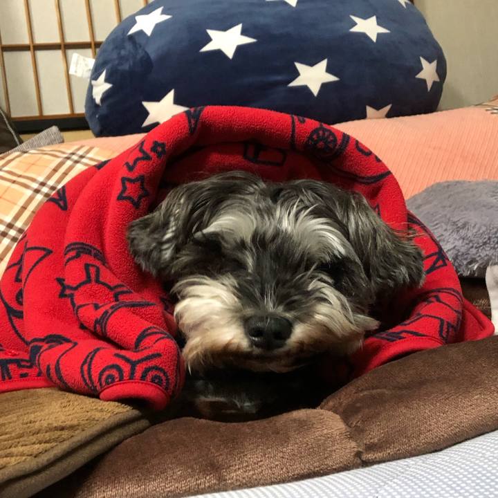 C6208f0e c29a 4505 9040 11578fbfcefd 1637325916919