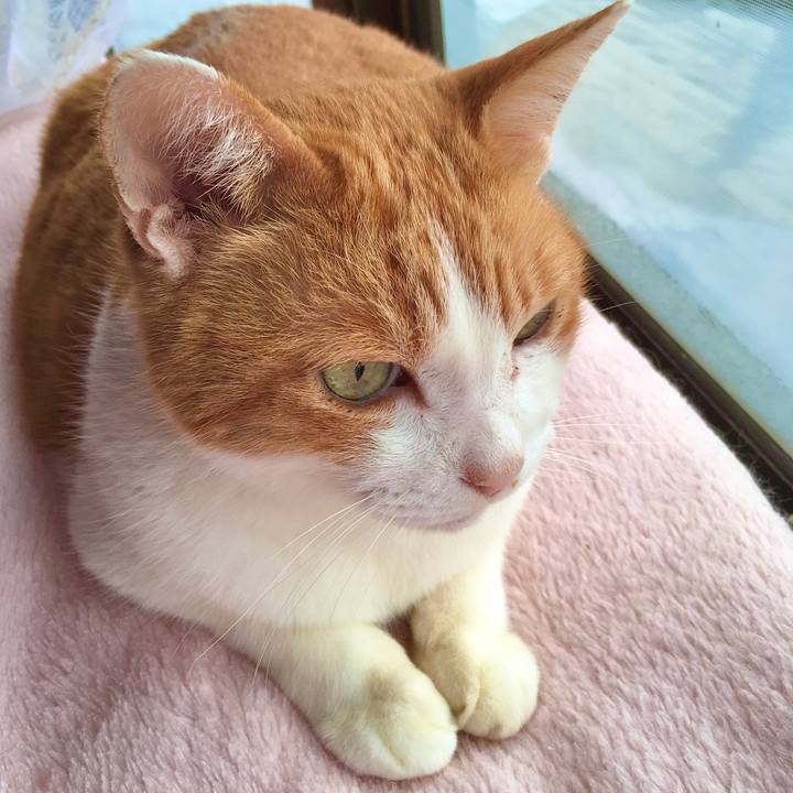 C620ac07 1857 4203 a504 cfeef7277f0d 1577346337869