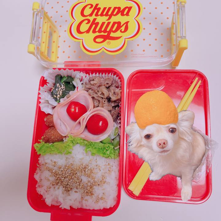 C62117ea 416f 4eb0 8a8d d35c00d934d1 1679532556537