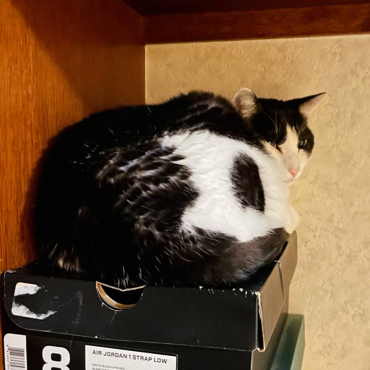 C62192c0 d117 4173 9cfd 727a1003b213 1623638981729