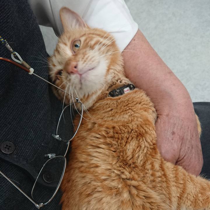 C62205e6 1129 4bb9 bc07 2dd7062958b7 1653816541745