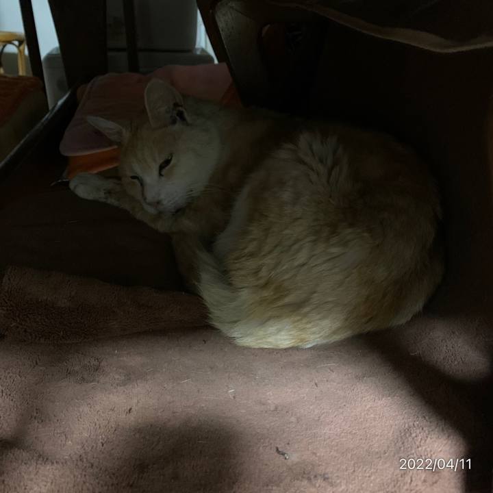 C6225531 e83c 4bcd 8ee3 bdedeefba041 1649677695367