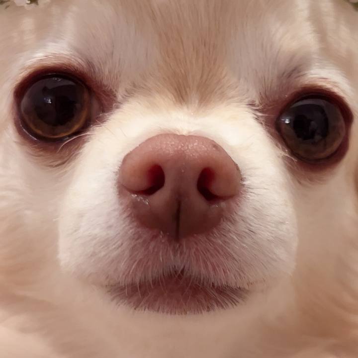 C6226705 ad36 4283 bd63 13719c4f0cc8 1743156469331