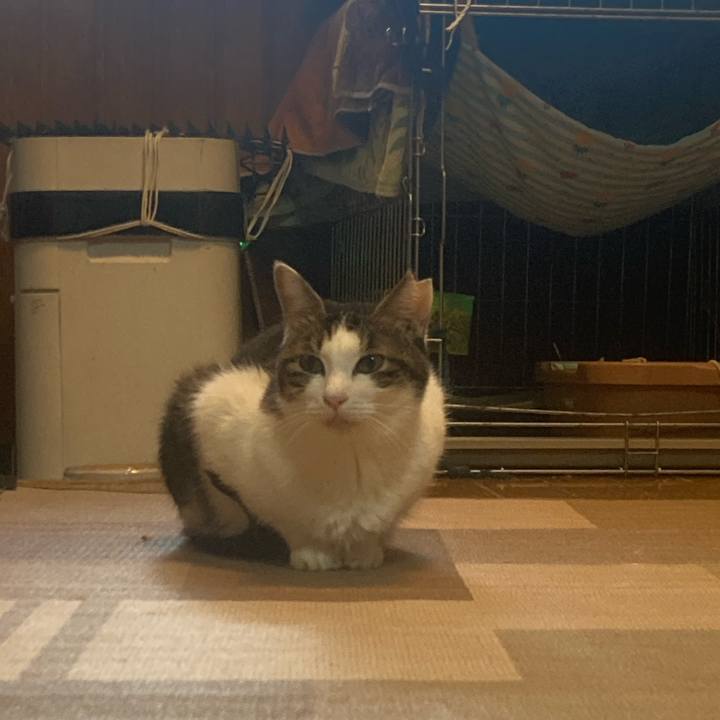 C62274b9 11eb 41b2 ba7f c89b13f84ea5 1763165500347