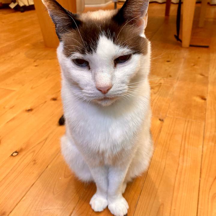 C622e2a8 8f0f 49fa 8844 917984bcf75c 1644552484521