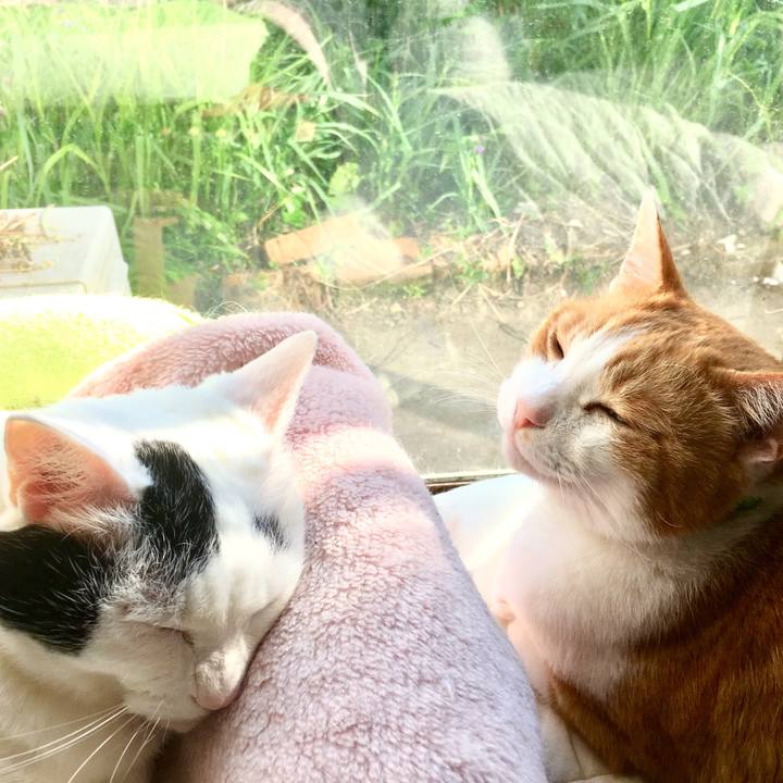 C622f425 63ef 4214 98b8 03b54bb6263d 1557784152360