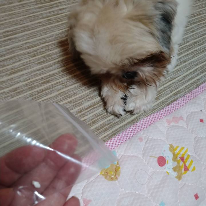 C622fd0b d708 40bd 964c 1abdf63924e8 1601075489091