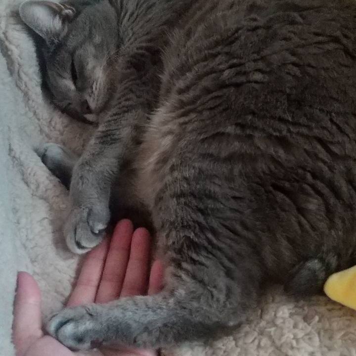 C6231650 3203 4d2b 98bb 71981e0c1f72 1651017918460