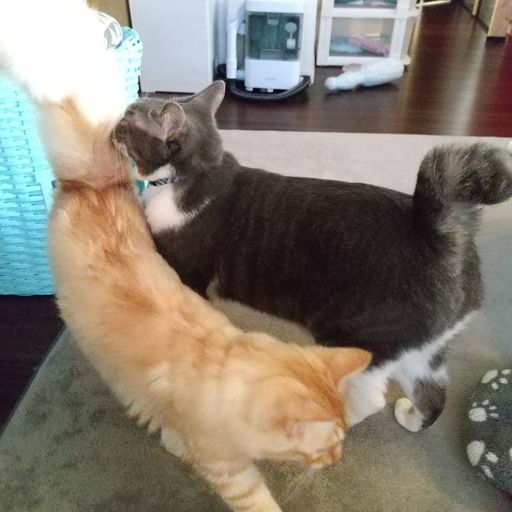 C6235565 334d 4bcc a100 a0606c5cb34a 1616707873180