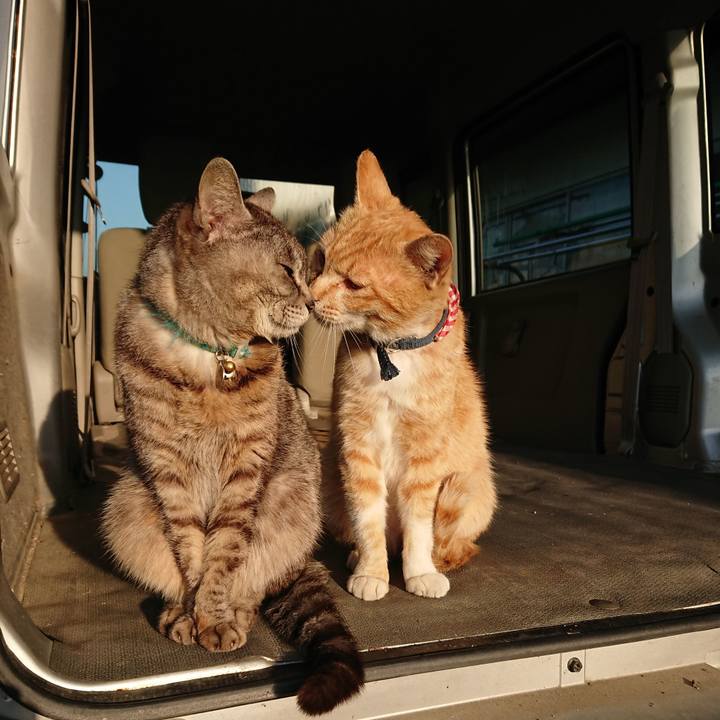 C62358ab c178 4306 9bd3 8c64258a49f9 1558730847354