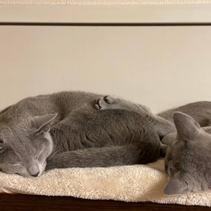 C623624e 82e6 43b9 b9ae 59f4b1c8f583 1619694131744