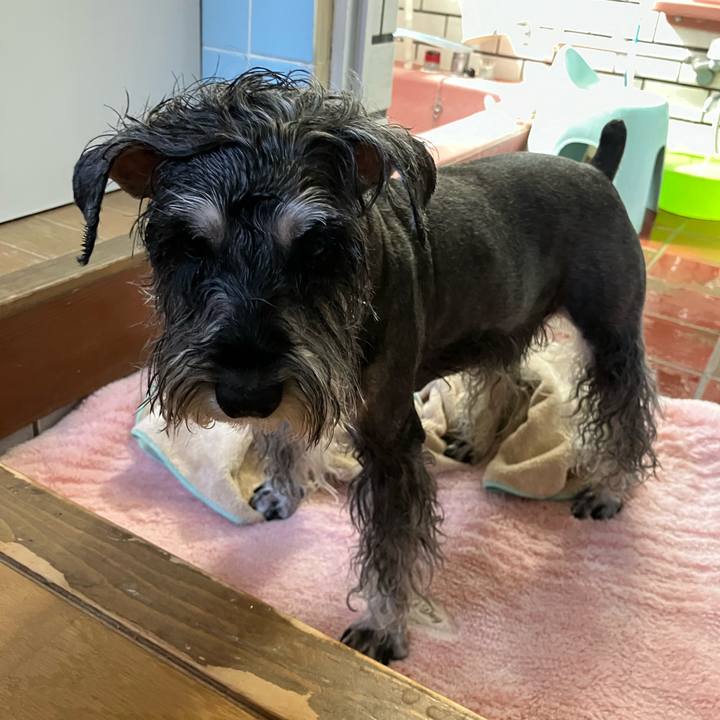 C62366e0 f77f 49a6 a69a bd0265183c5a 1726462450190