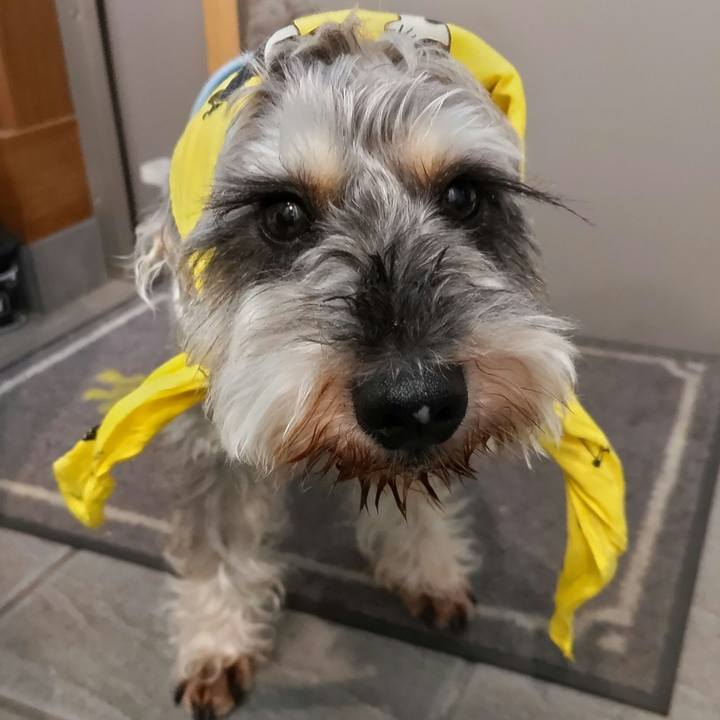 C6237cec e030 4064 bd8b 9c059883d879 1691121512887