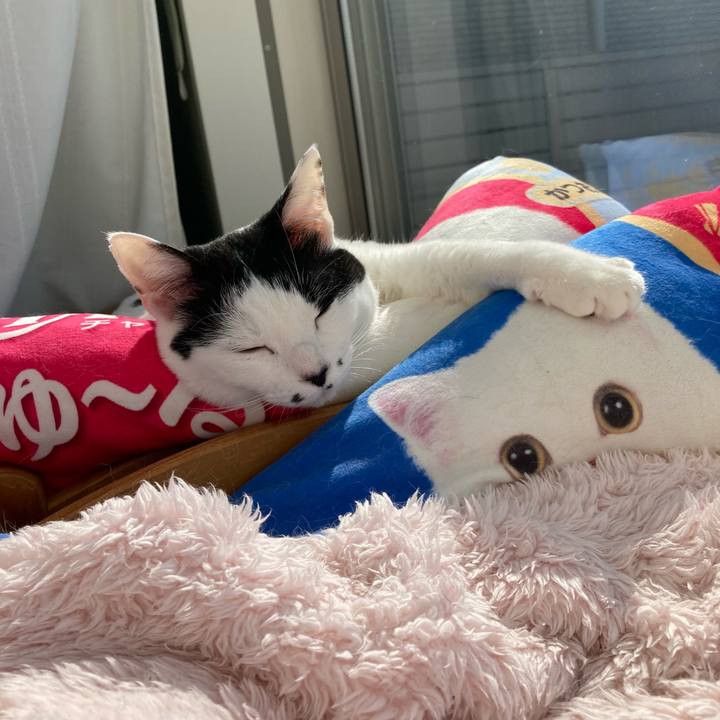 C6239eee e09a 44e5 af0c 414b9d69927a 1771036529571