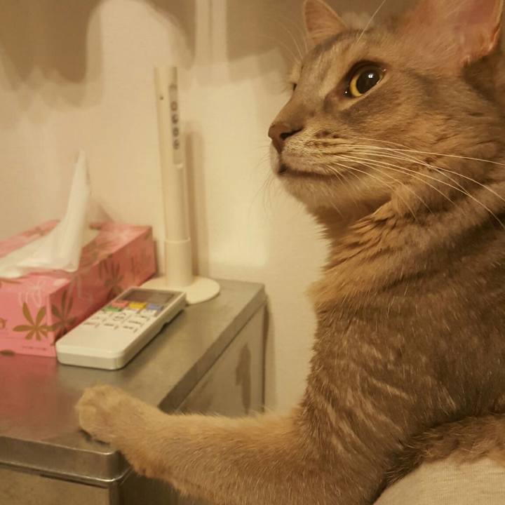 C623d9d0 2cbc 46fc be1a eef66f4f75bf 1537357408045