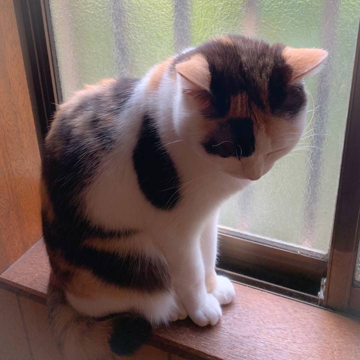 C6241611 e133 42e7 8aa6 e7920524c546 1561250353395