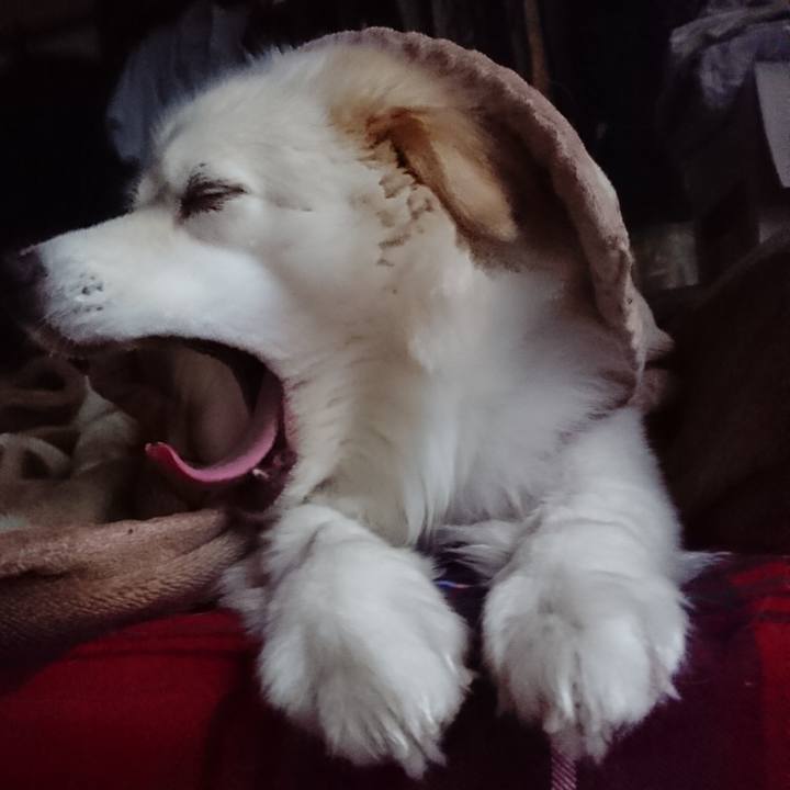 C6243ce3 1864 47ac 8fd4 e158a3d4bccf 1530908414631