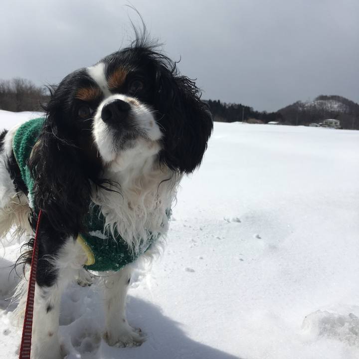 C6244aaf 7fb6 4b39 9a6b 10ee6adc4a2b 1520306921509