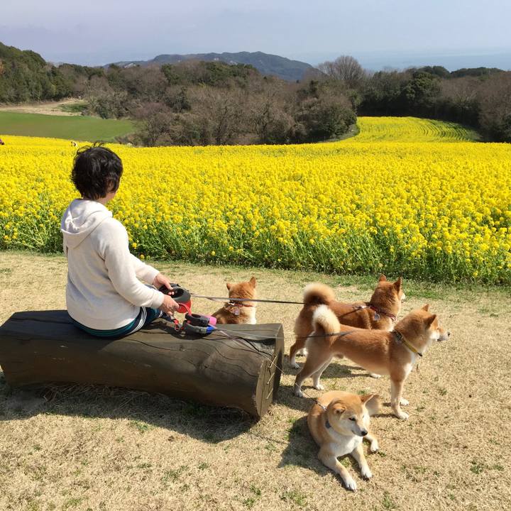 C6247598 8eb4 48b1 bf64 fdd4e8cab192 1595865450473