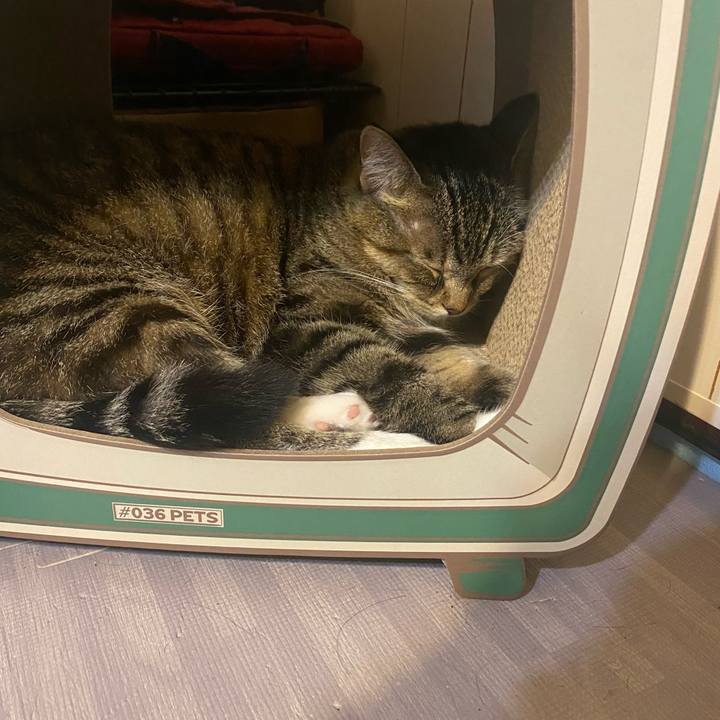 C6247e19 6592 42e0 b152 0faad2c0a640 1631461295478