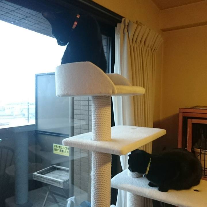 C6249e8a 42d4 42c6 b0f3 85459457e456 1514331754577