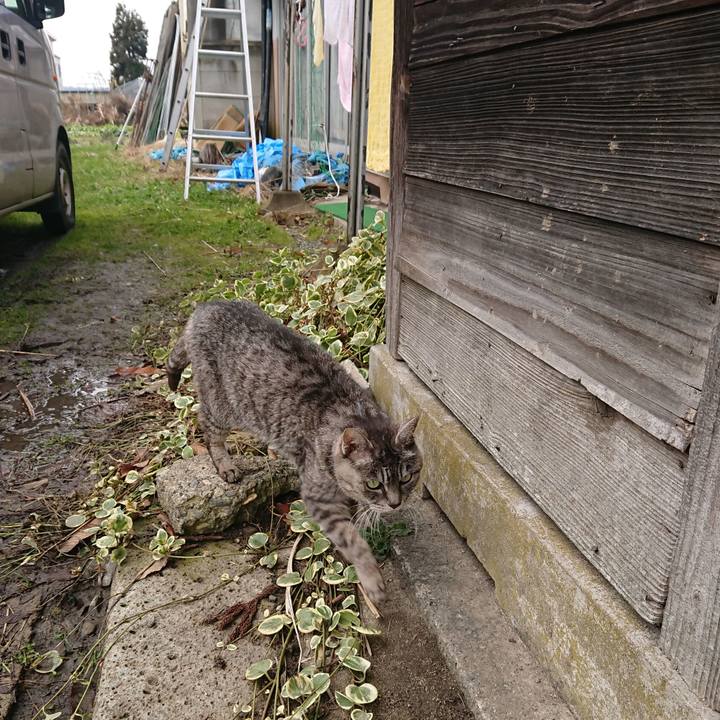 C624ab86 10de 43d8 b2fc 4b6ddb3e09c4 1576983708463