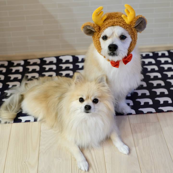 C624ad47 dfca 4a31 88ac ddb9618d1569 1764194220974