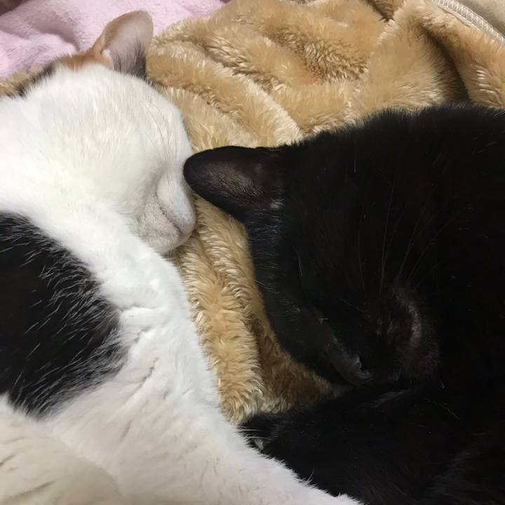 C624d163 1e1c 4c2d b182 e79fd7deabd1 1518399963874